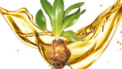روغن کندش