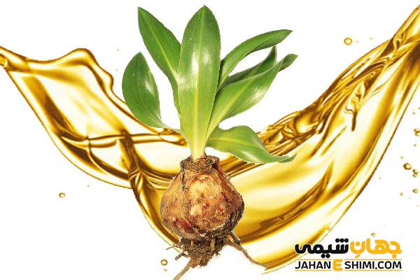 روغن کندش