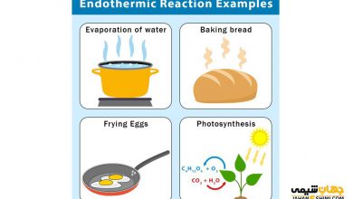 واکنش گرماگیر چیست؟ – تغییرات آنتالپی و مثال هایی از آن