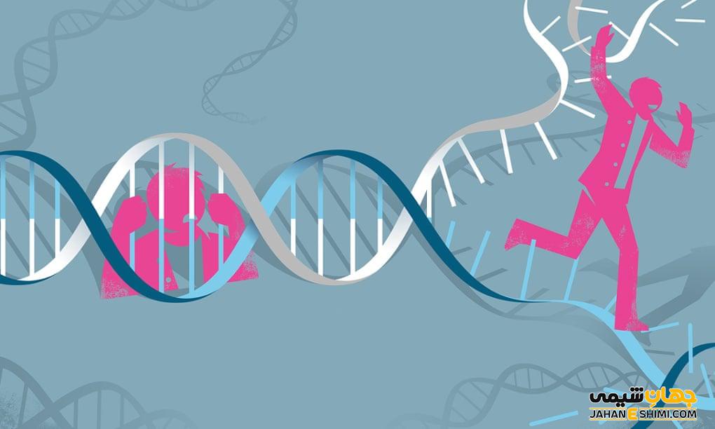 ژن و ژنتیک چیست؟ تاریخچه، ساختار و انواع ژن ها