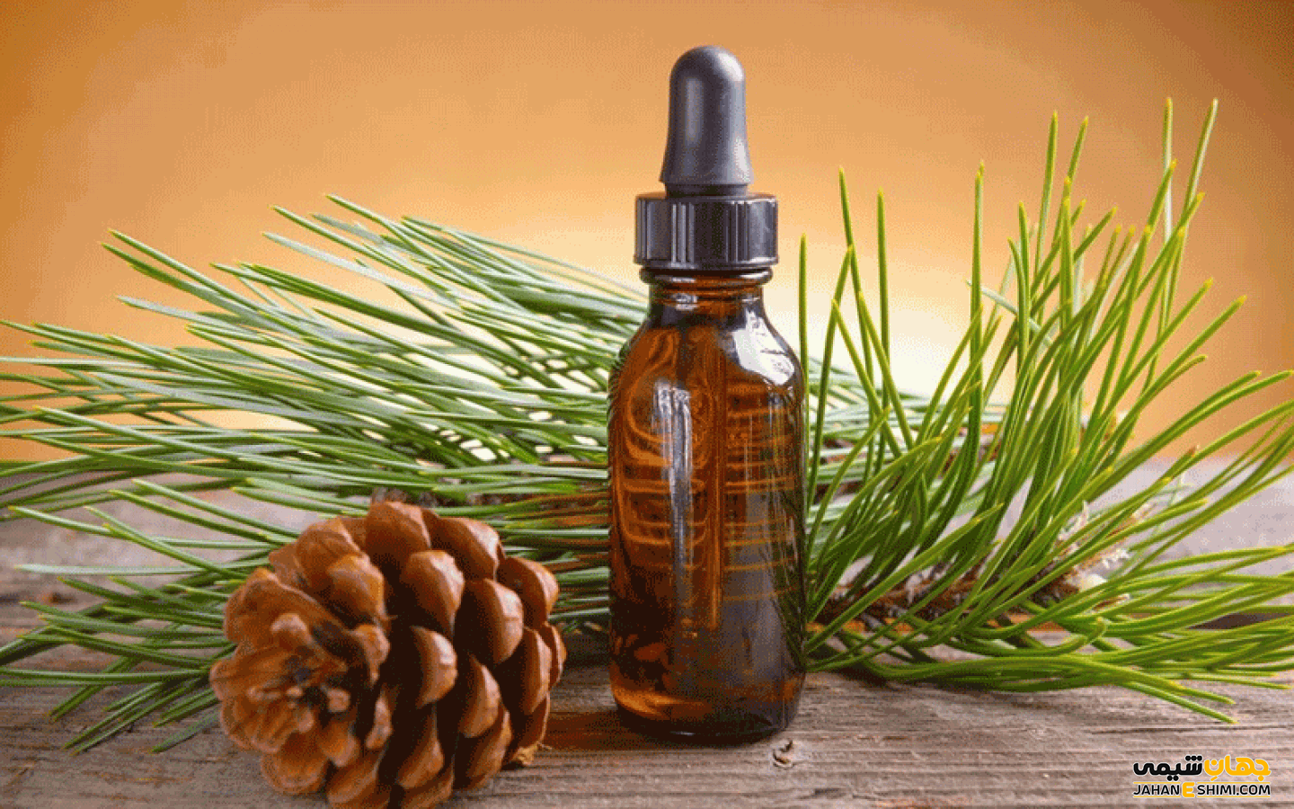 روغن گیاه کاج