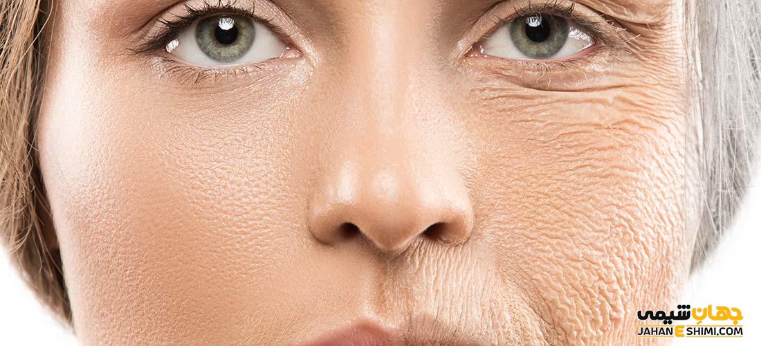 کلاژن چیست؟ - ساختار، عملکرد و انواع آن