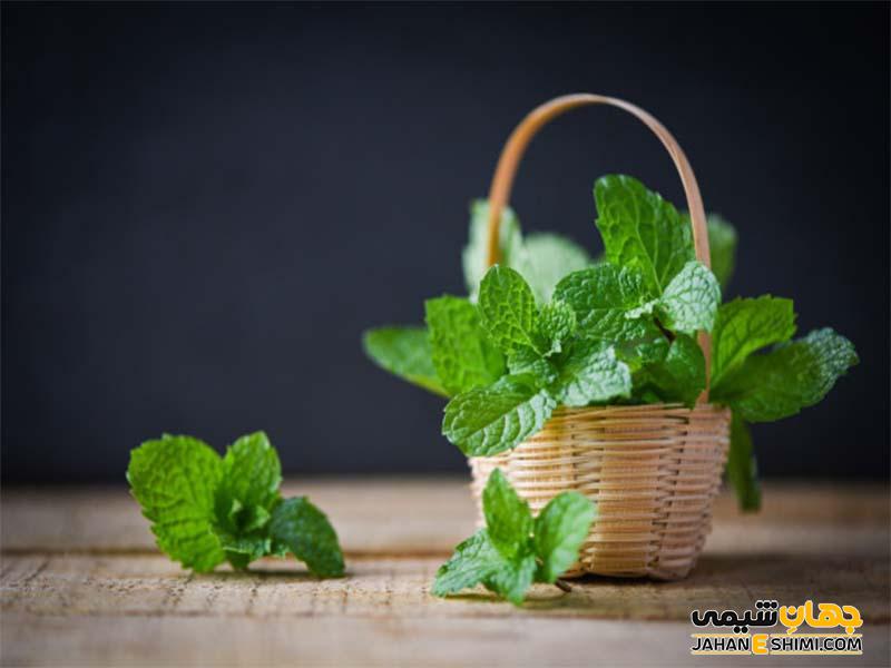 عرق گیاهی ریحان و خواص شگفت انگیز آن برای سلامتی