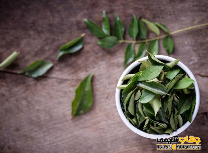عرق گیاهی برگ زیتون چه خواصی و کاربردی برای سلامتی دارد؟