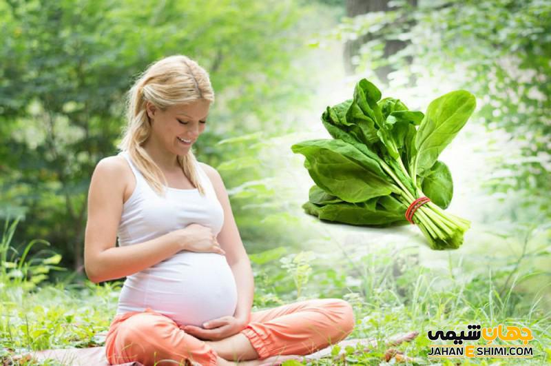 عرق گیاهی اسفناج و خواص و کاربردهای آن برای سلامتی