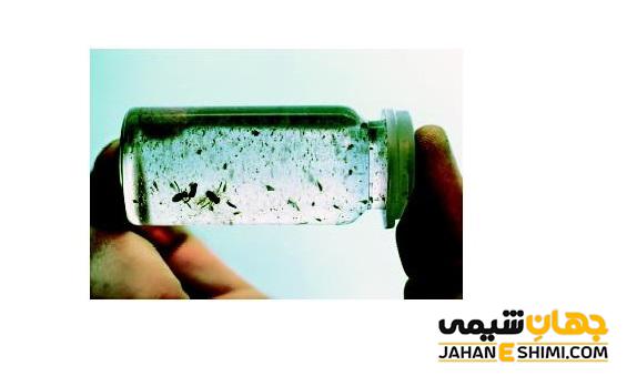 اندازه پلانکتون ها