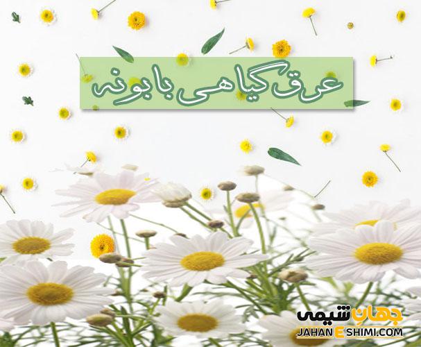 خواص عرق گیاهی بابونه در سلامتی بدن و ذهن شما چه تأثیری دارد؟
