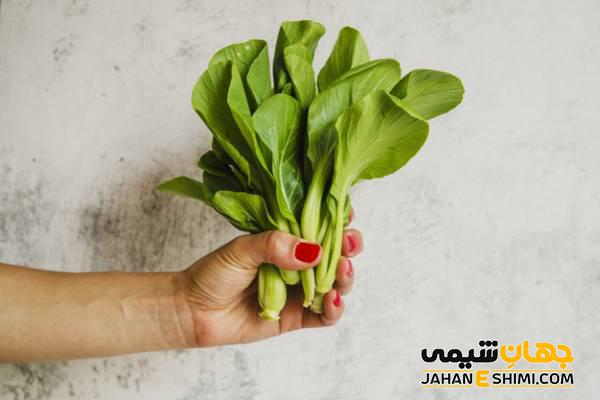 عرق گیاهی اسفناج و خواص و کاربردهای آن برای سلامتی