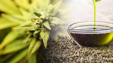 روغن شاهدانه