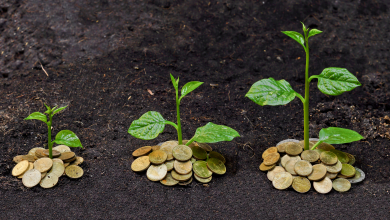 رشته دانشگاهی اقتصاد کشاورزی چیست ؟ درآمد و بازار کار آن