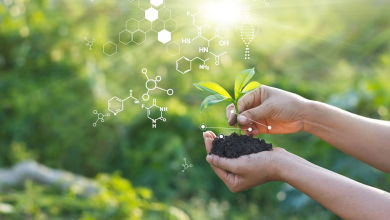 رشته دانشگاهی زیست شناسی گیاهی چیست ؟ بازار کار و درآمد آن