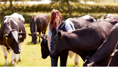 رشته دانشگاهی علوم دامی چیست ؟ بازار کار و درآمد آن