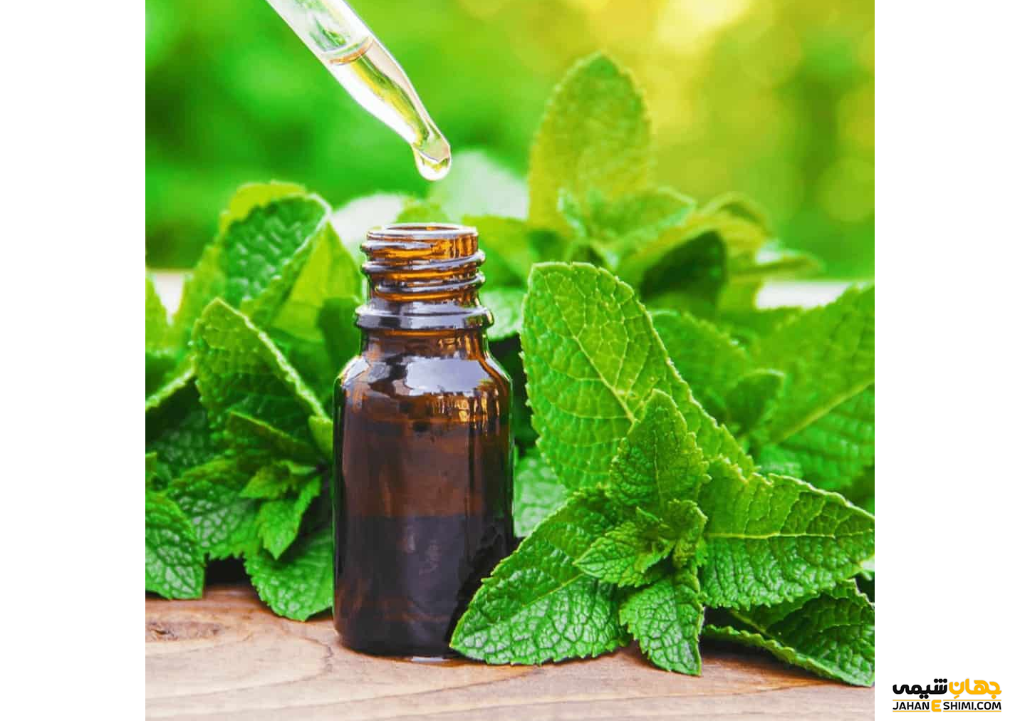 روغن نعناع پرکاربرد با خواص و فواید بی نظیر