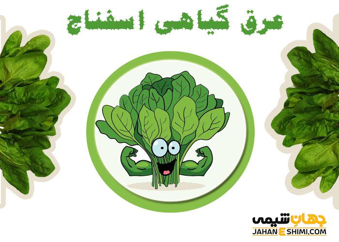 عرق گیاهی اسفناج