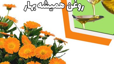 فوائد و کاربرد روغن همیشه بهار در طب سنتی