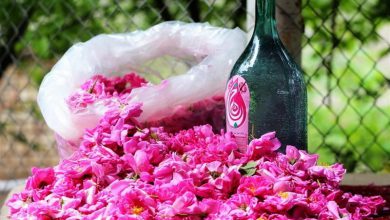 فواید مصرف انواع عرقیات گیاهی درمان نفخ معده چیست؟