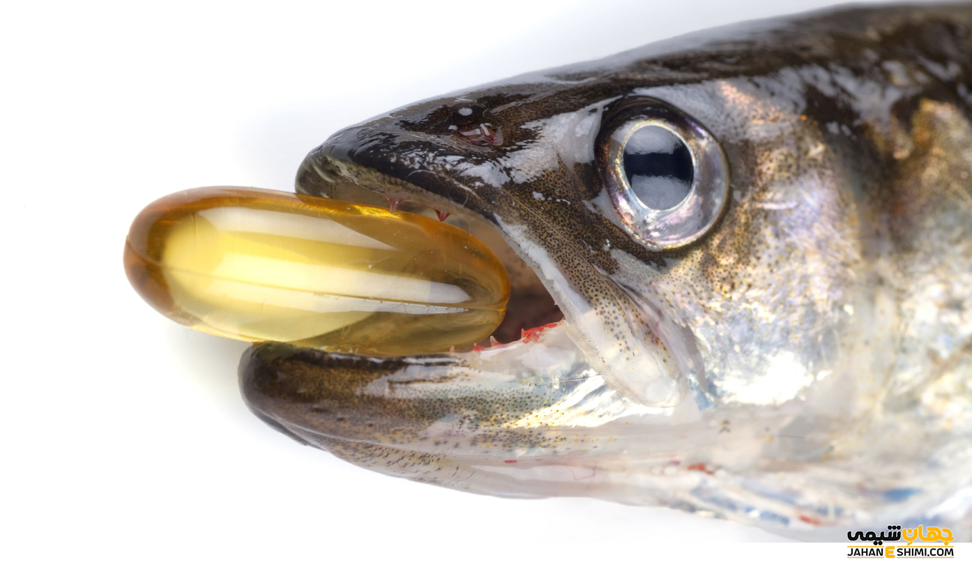 فواید و خواص روغن ماهی چیست ؟ کاربرد آن در سلامت و زیبایی