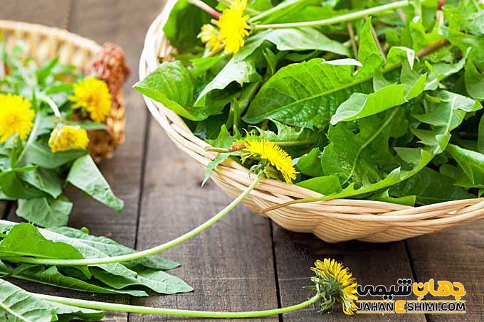 فواید و کاربردهای عرق گیاهی قاصدک برای سلامتی