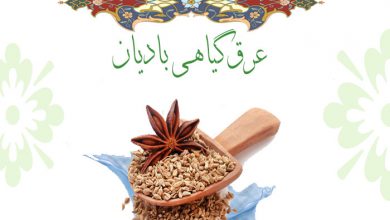 مزایا و فواید و کاربرد عرق گیاهی بادیان برای سلامتی