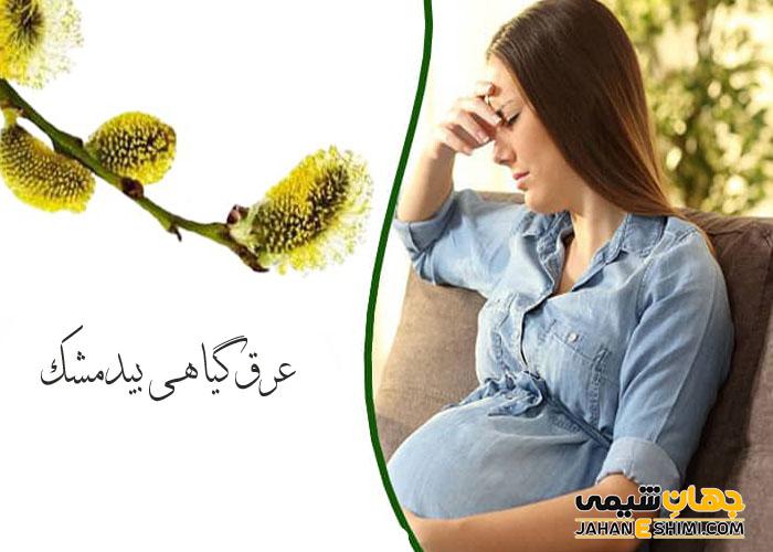 عرق گیاهی بیدمشک و همه خواصی که باید درباره آن بدانید!