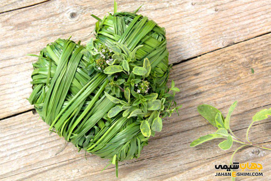 مزایای فوق العاده عرقیات گیاهی درمان ریزش مو