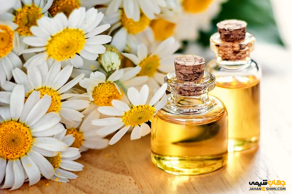 مهم ترین ترکیبات شیمیایی موجود در روغن بابونه