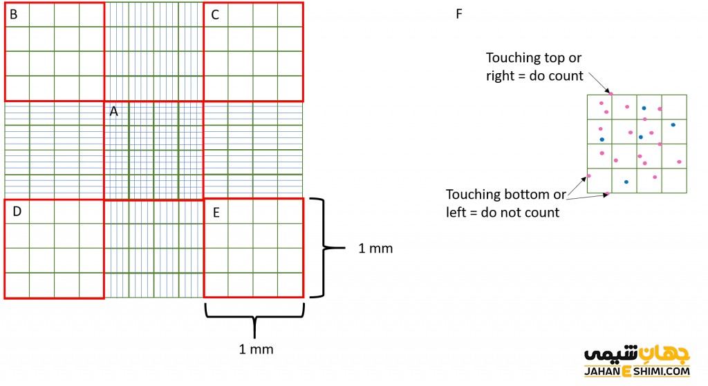 کاربرد لام هموسیتومتر چیست ؟ انواع و قیمت خرید و فروش | جهان شیمی فیزیک