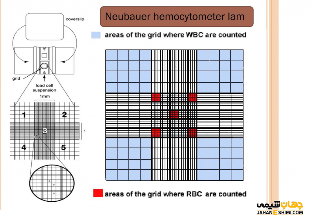 کاربرد لام هموسیتومتر چیست ؟ انواع و قیمت خرید و فروش | جهان شیمی فیزیک