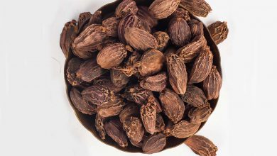 خواص روغن هلیله سیاه چیست ؟ کاربرد و قیمت و خرید و فروش
