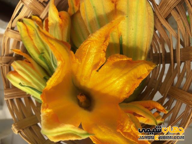 طرز تهیه دمنوش گیاهی گل کدو تنبل و فواید و خواص عالی آن