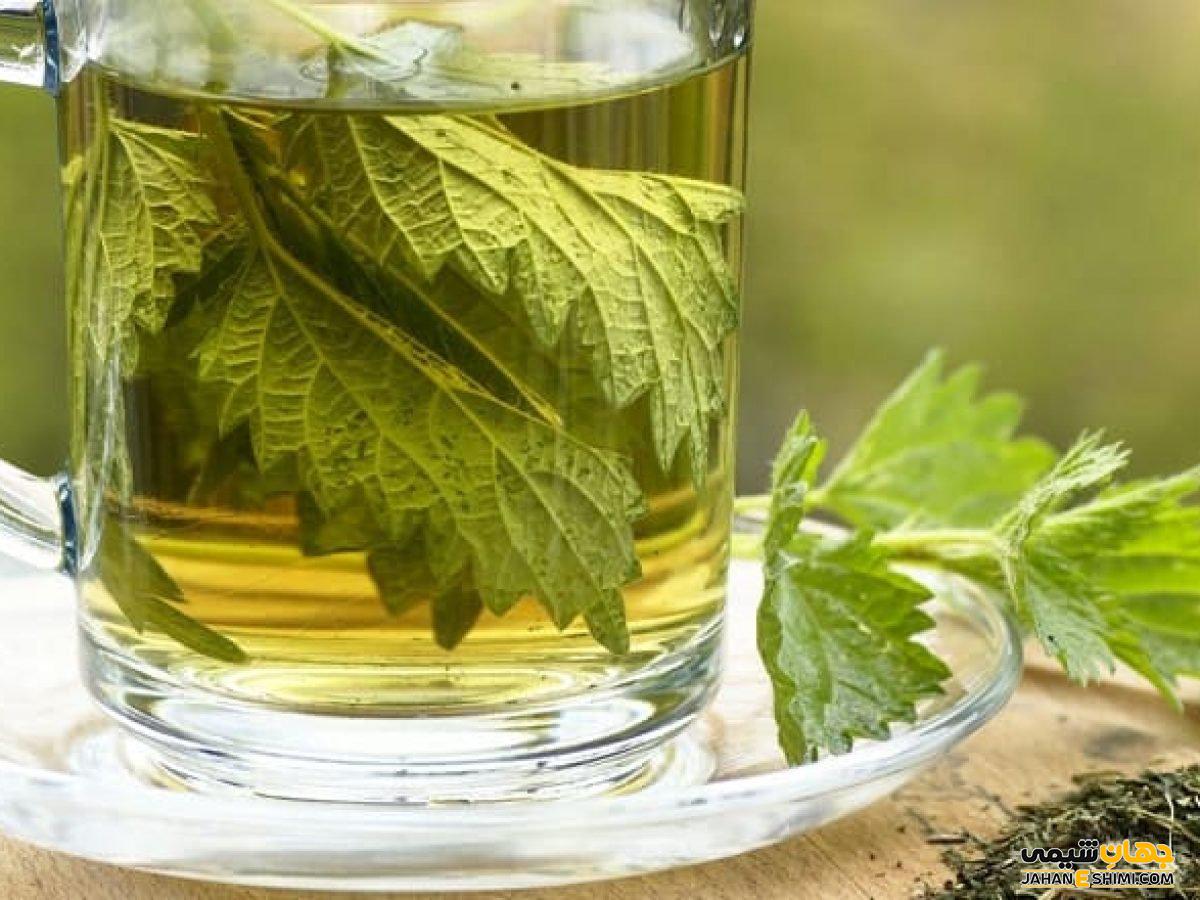 آشنایی با فواید و خواص دمنوش گیاهی گزنه و طرز تهیه آن