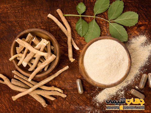 جنسینگ هندی یا آشواگاندا چیست و مصرف آن چه فوایدی دارد؟