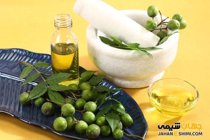 فواید و خواص و طرز تهیه دمنوش گیاهی برگ درخت چریش