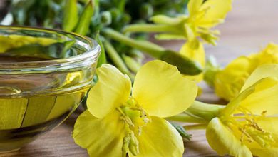 روغن گل مغربی چیست ؟ خواص ، مضرات و قیمت خرید و فروش