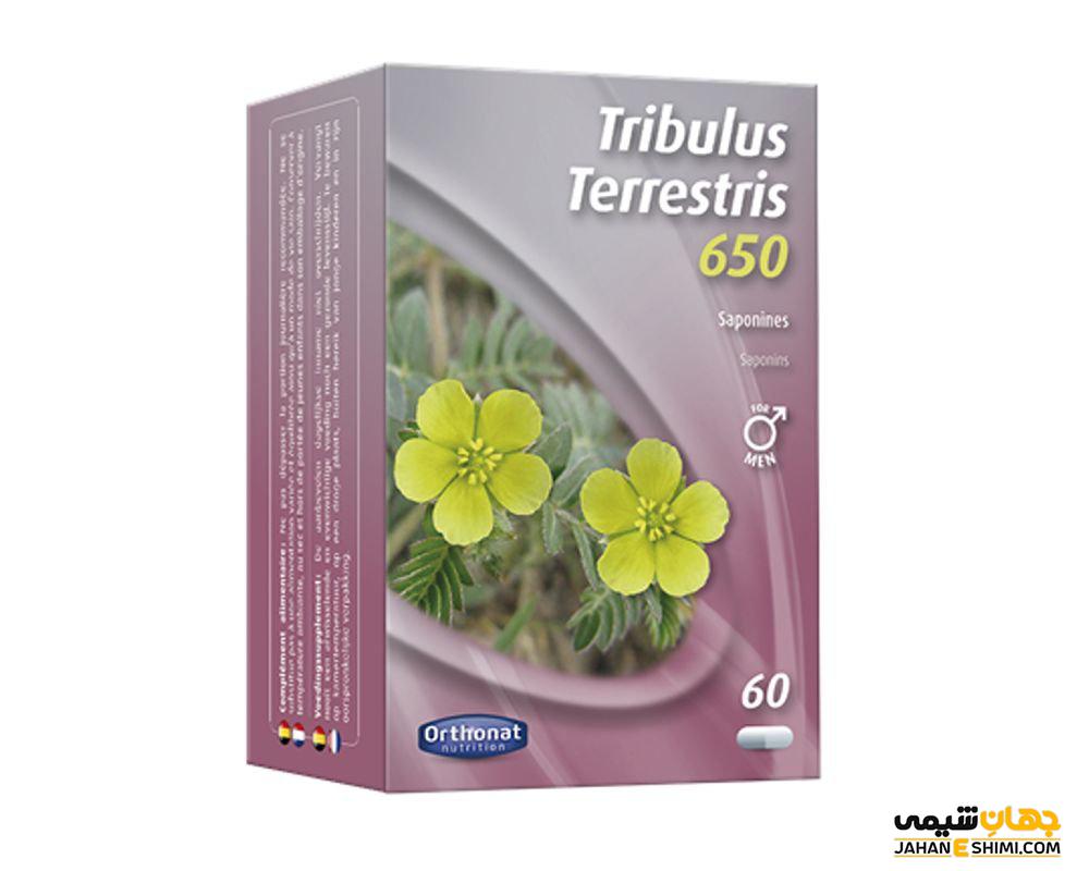 از فواید فوق العاده و عوارض گیاه دارویی خارخاسک بیشتر بدانید!
