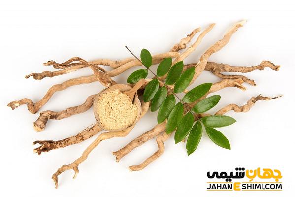 تونکات علی چیست و چه فواید و مضراتی دارد؟