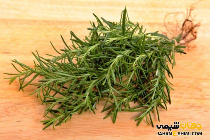 عکس رزماری