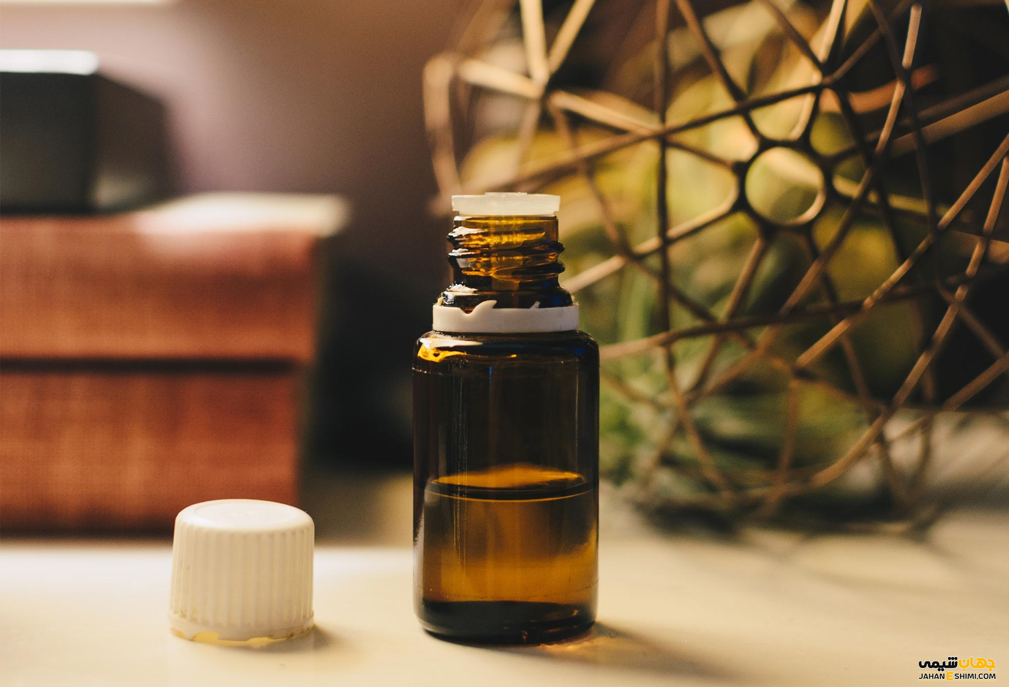 خواص روغن مگس چیست ؟ فواید و کاربرد و قیمت خرید و فروش