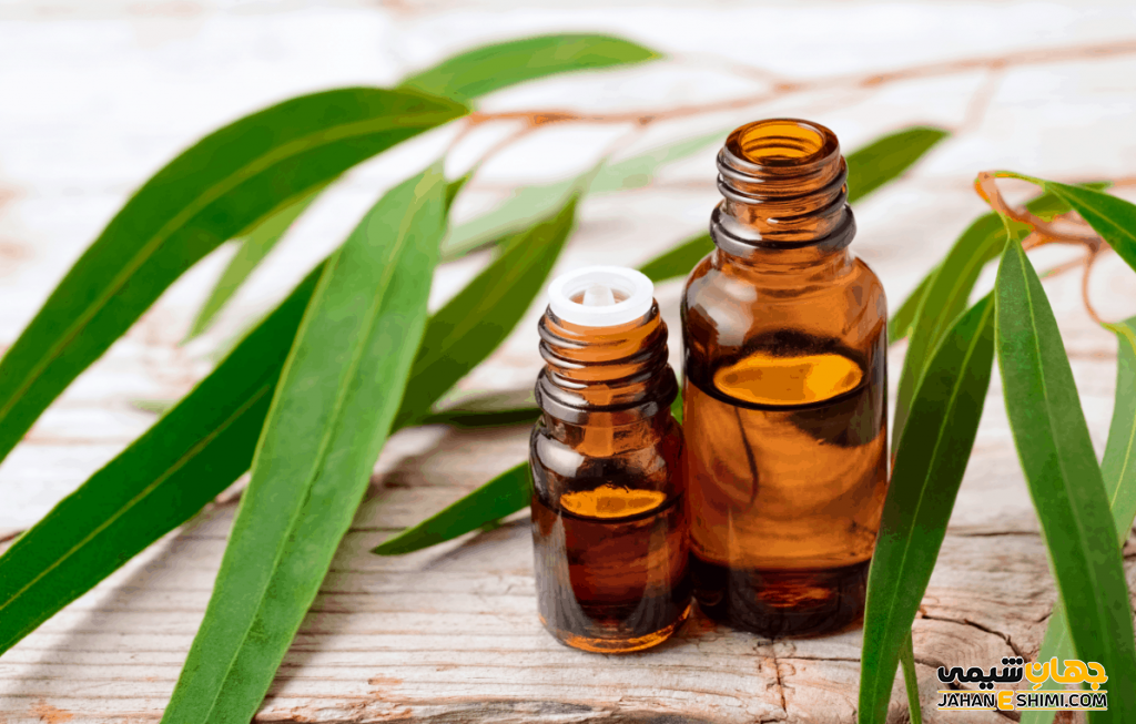 خواص روغن مگس چیست ؟ فواید و کاربرد و قیمت خرید و فروش