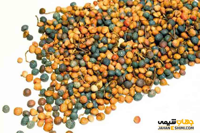 خواص شگفت انگیز روغن بنه چیست ؟ قیمت خرید و فروش آن