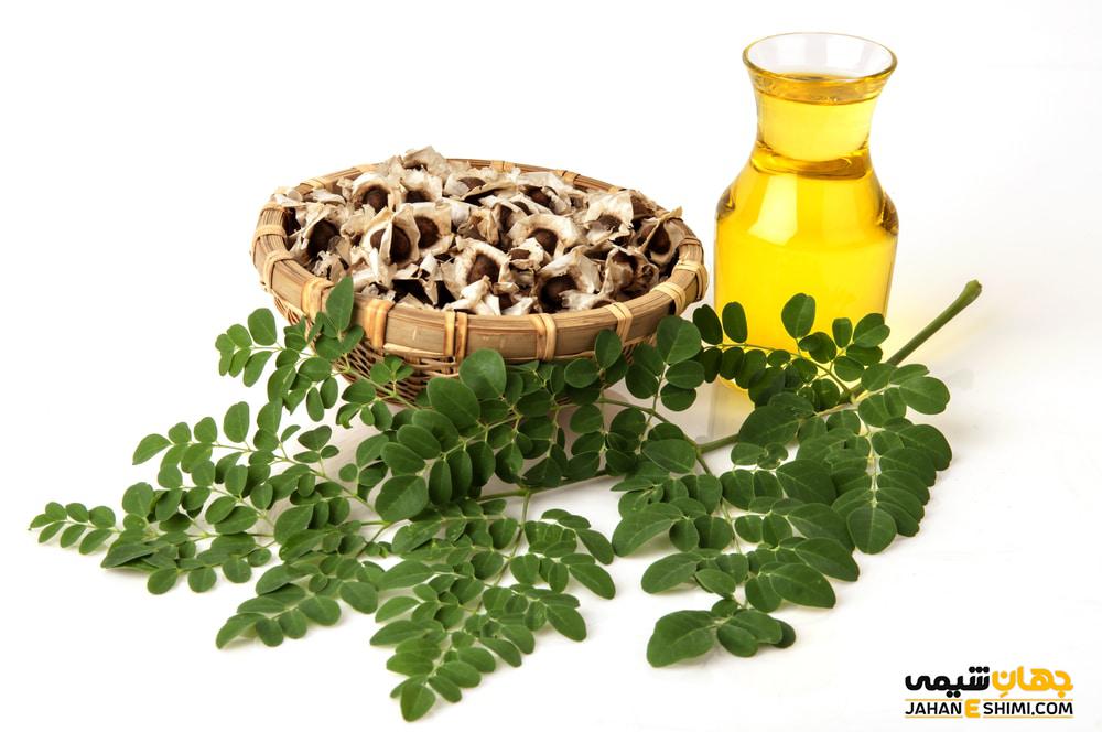 روغن مورینگا چیست ؟ فوائد و کاربرد و قیمت خرید و فروش آن