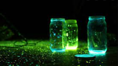 فسفرسانس چیست ؟ از آن چه می دانید ؟