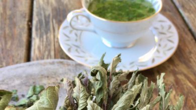 فواید و خواص دمنوش گیاهی برگ انجیر و طرز تهیه آن