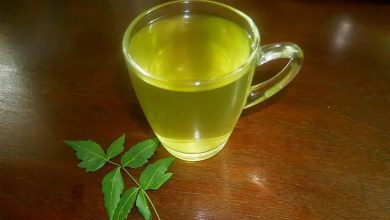 فواید و خواص و طرز تهیه دمنوش گیاهی برگ درخت چریش