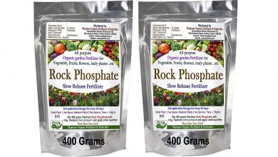 قیمت خرید و فروش کود فسفر و مزایای آن برای محصولات