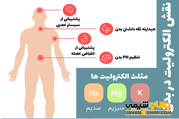 نقش الکترولیت‌ها در بدن انسان