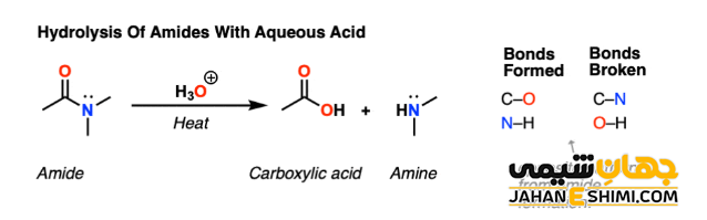 هیدرولیز آمید