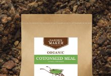 کنجاله تخم پنبه چیست و از قیمت خرید و فروش آن چه می دانید؟