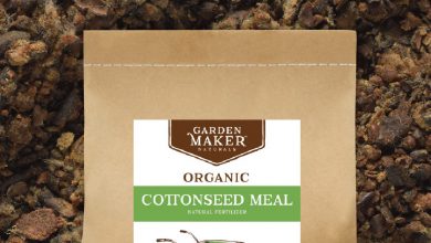 کنجاله تخم پنبه چیست و از قیمت خرید و فروش آن چه می دانید؟