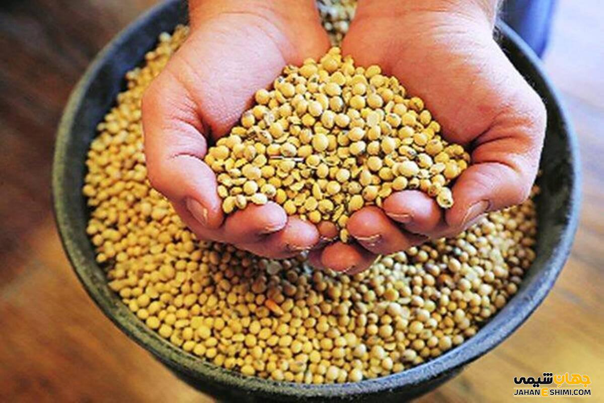 کنجاله سویا چیست؟ قیمت خرید و فروش و فواید تغذیه ای آن